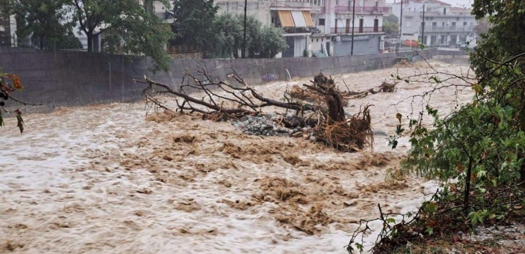 karditsa (1)1